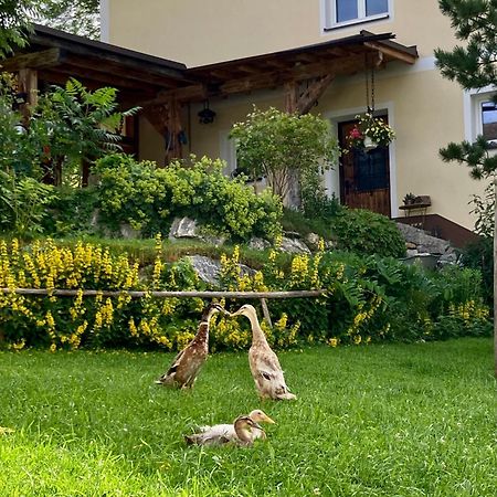 Heissgut Daire Altenmarkt im Pongau Dış mekan fotoğraf