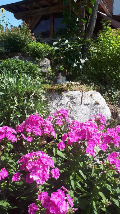 Heissgut Daire Altenmarkt im Pongau Dış mekan fotoğraf