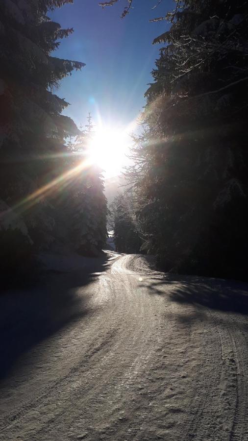 Heissgut Daire Altenmarkt im Pongau Dış mekan fotoğraf