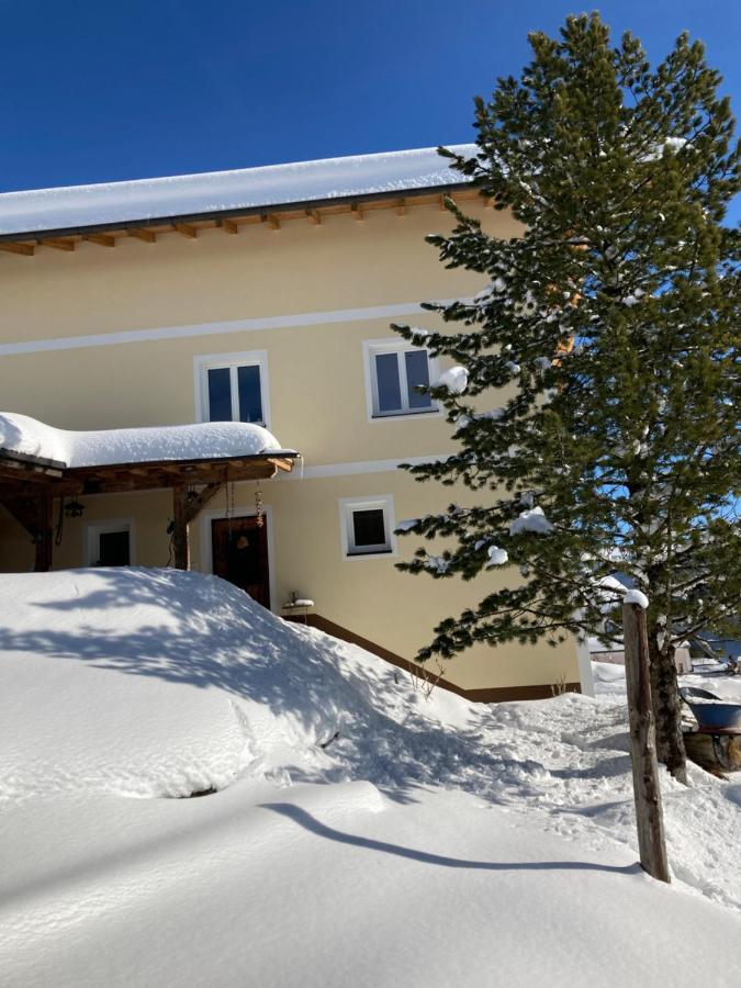Heissgut Daire Altenmarkt im Pongau Dış mekan fotoğraf
