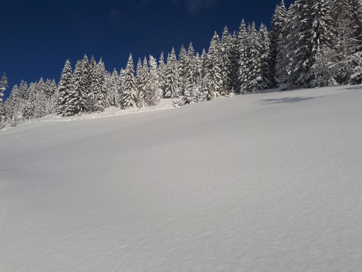 Heissgut Daire Altenmarkt im Pongau Dış mekan fotoğraf