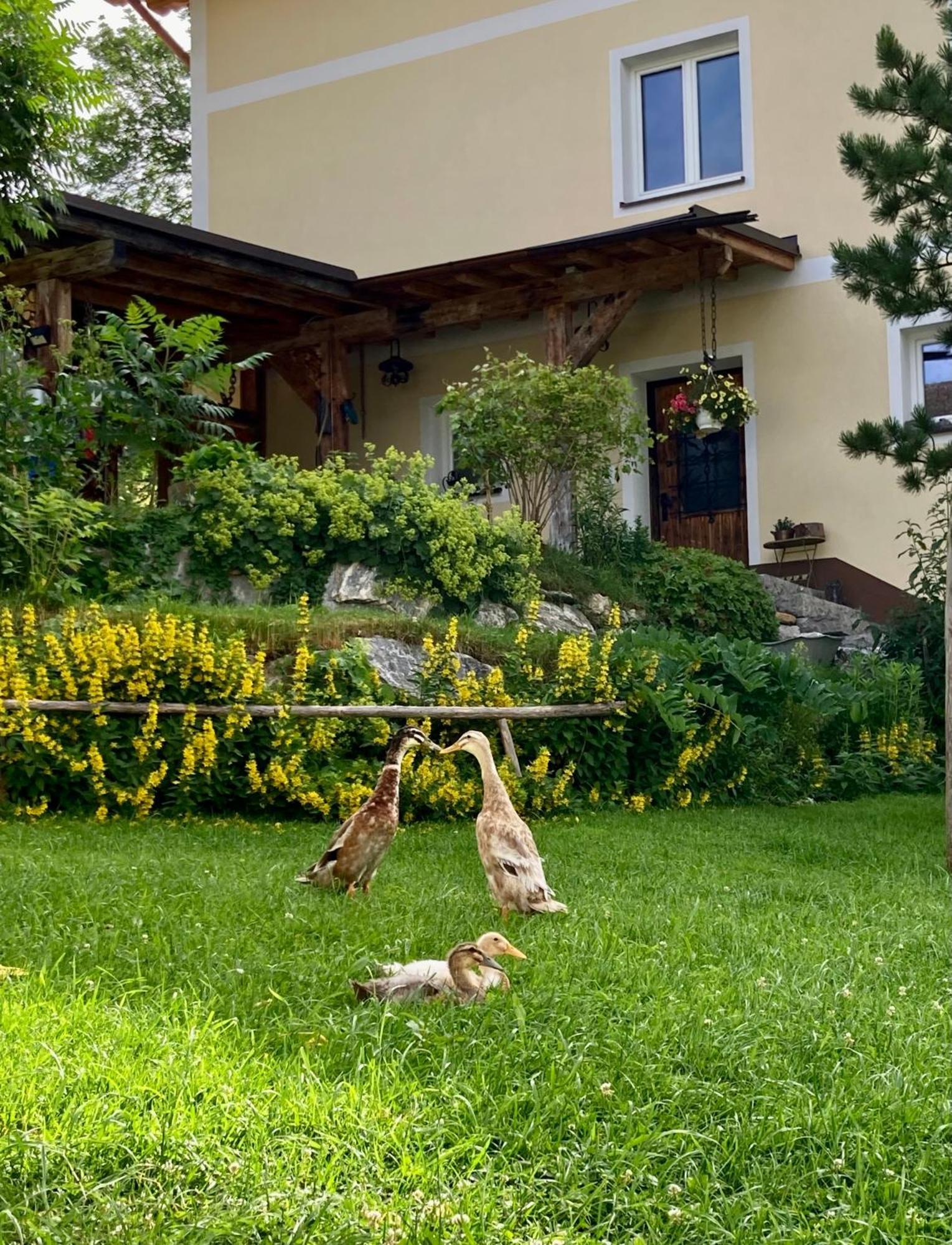 Heissgut Daire Altenmarkt im Pongau Dış mekan fotoğraf