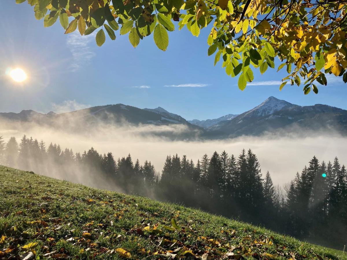 Heissgut Daire Altenmarkt im Pongau Dış mekan fotoğraf