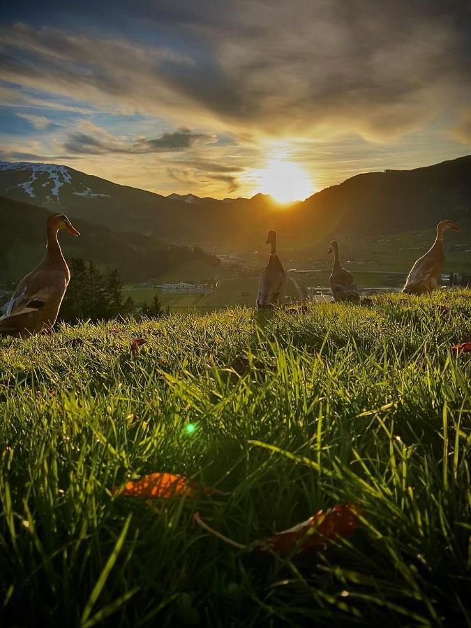 Heissgut Daire Altenmarkt im Pongau Dış mekan fotoğraf