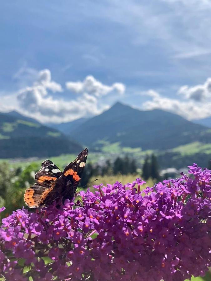 Heissgut Daire Altenmarkt im Pongau Dış mekan fotoğraf